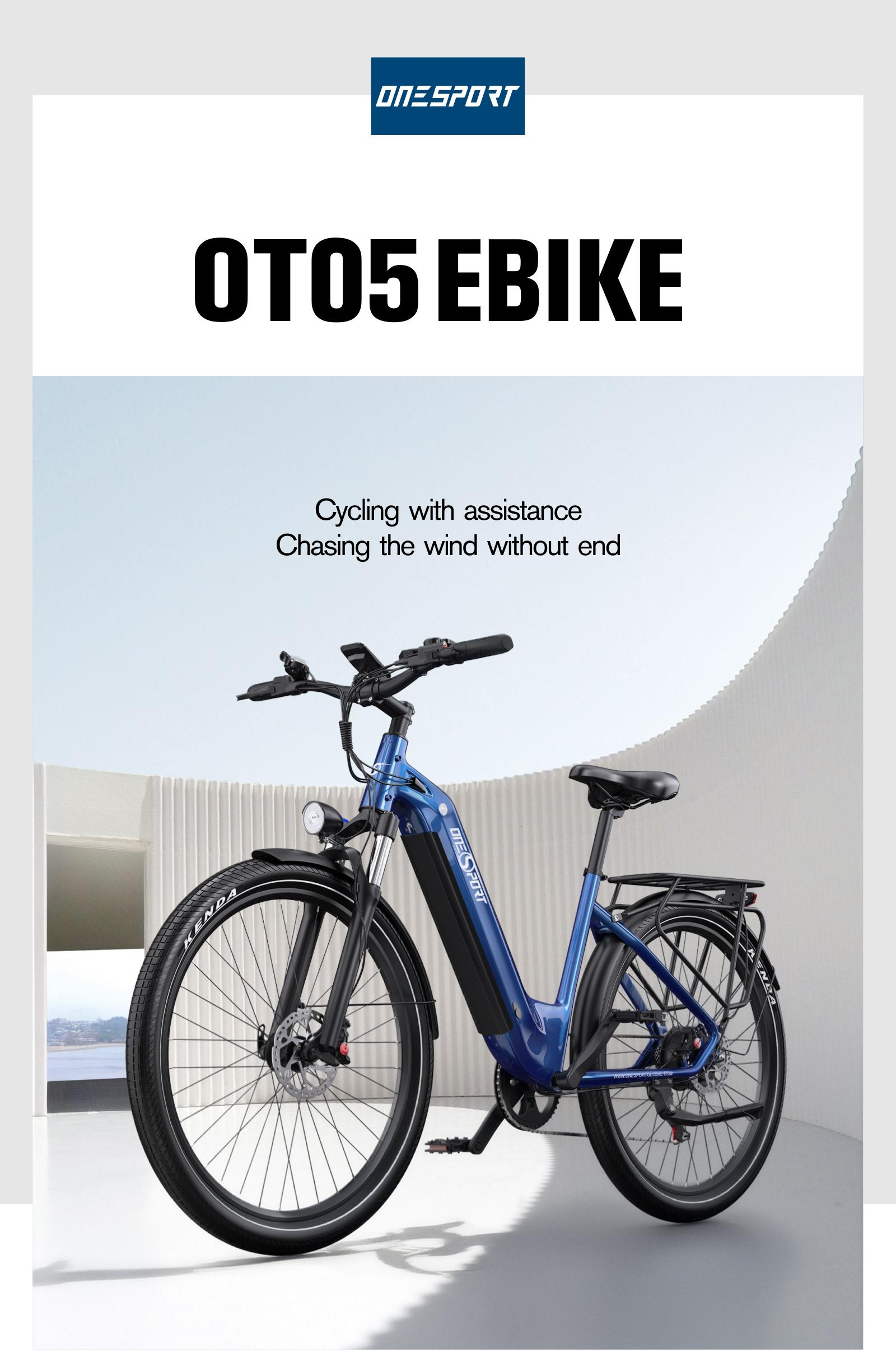 Una e-bike blu con portapacchi si trova davanti a un muro.
