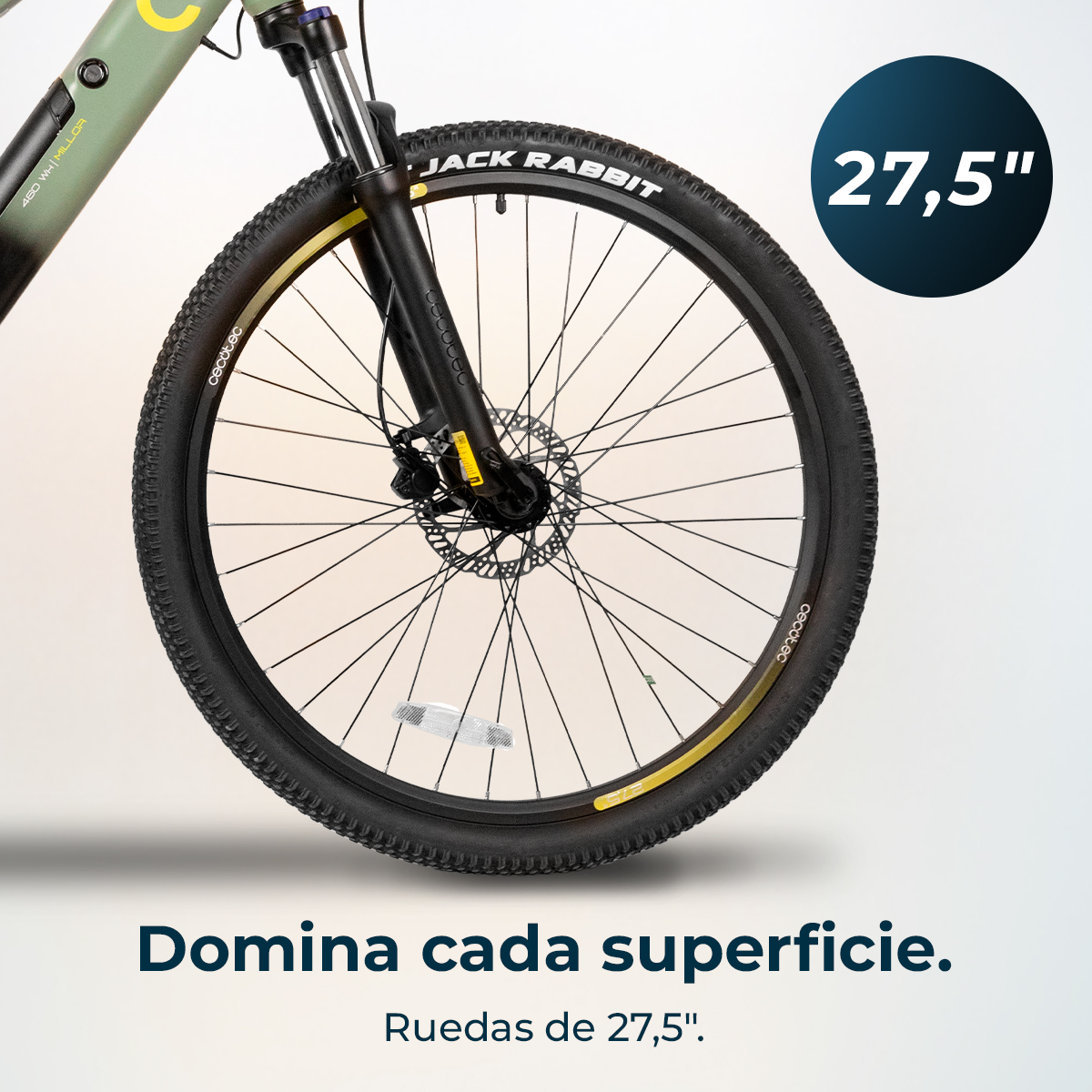 Bicicletta verde con ruota da 27,5 pollici e freno a disco. Testo: Jack Rabbit.