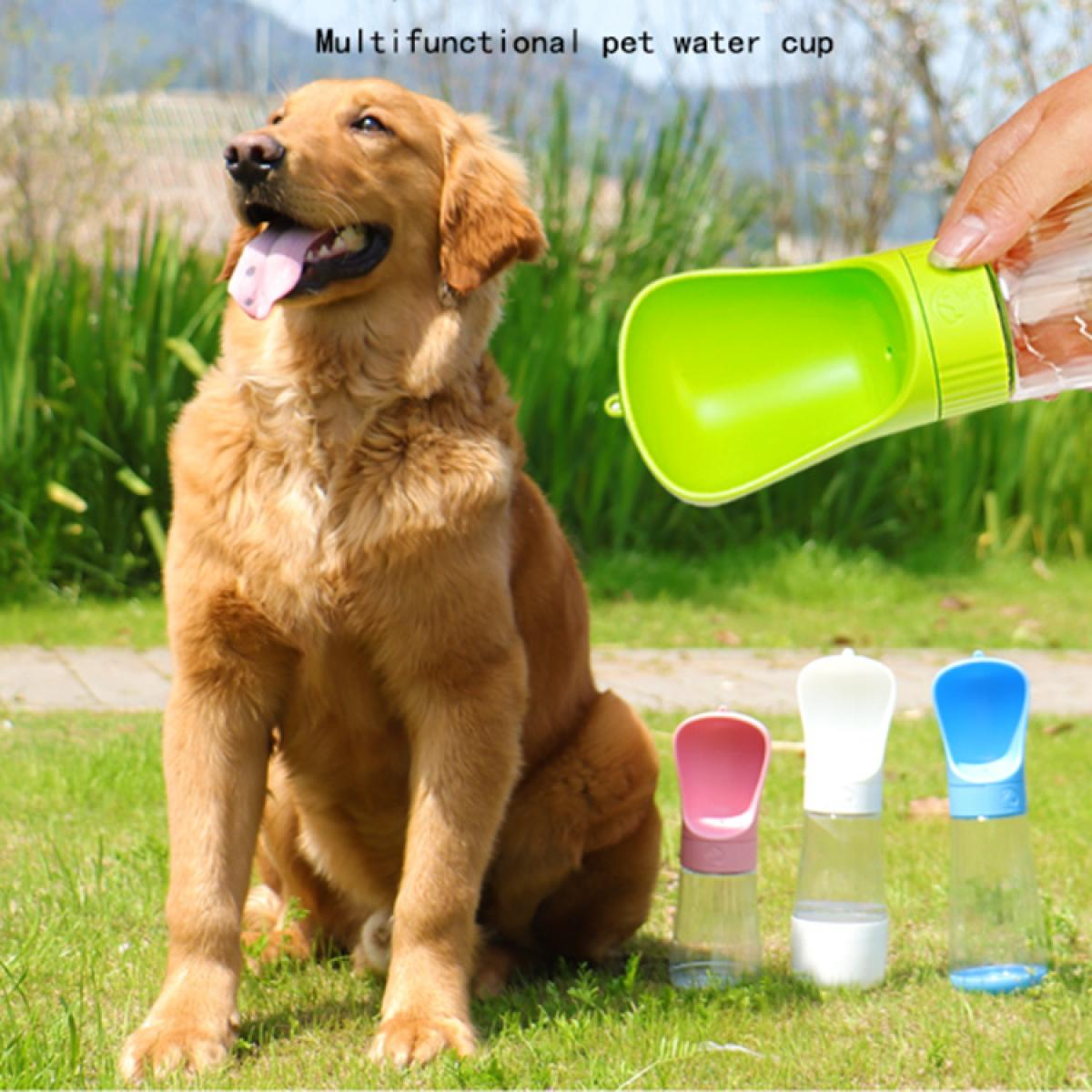 Ein Retriever sitzt auf Gras neben drei bunten Trinkflaschen für Haustiere.