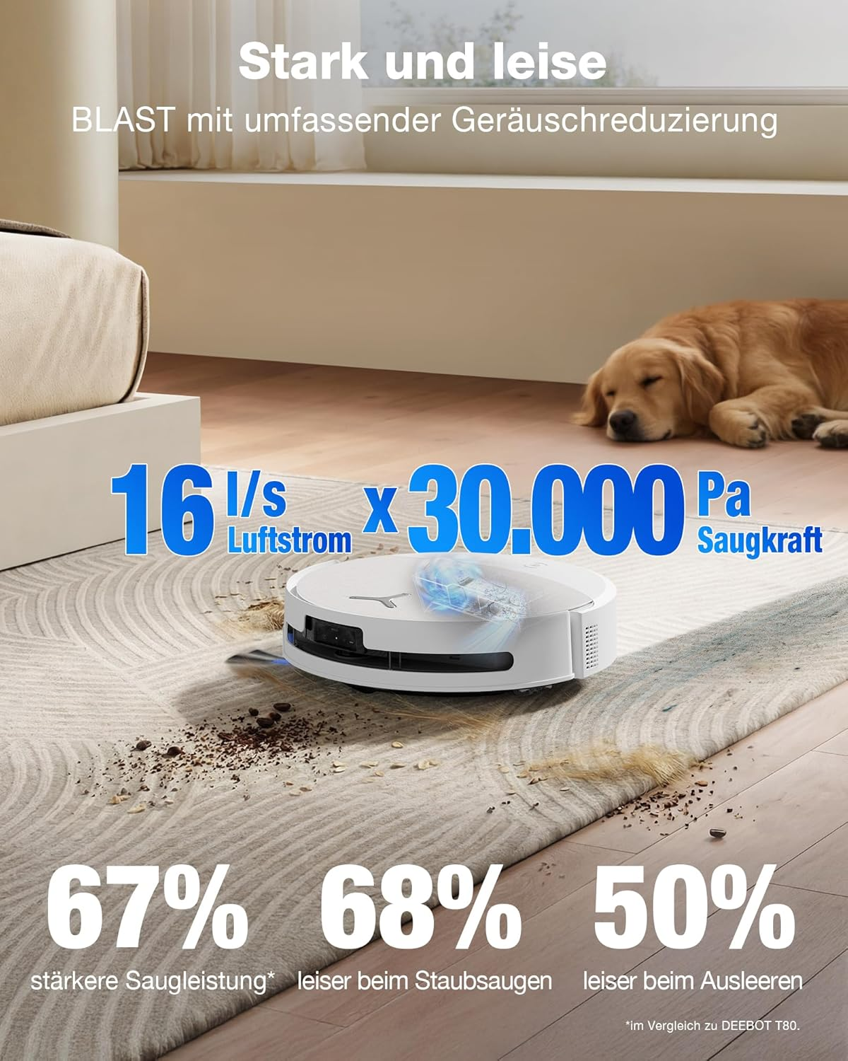 Ein Saugroboter reinigt Teppichboden, während ein Hund im Hintergrund schläft.