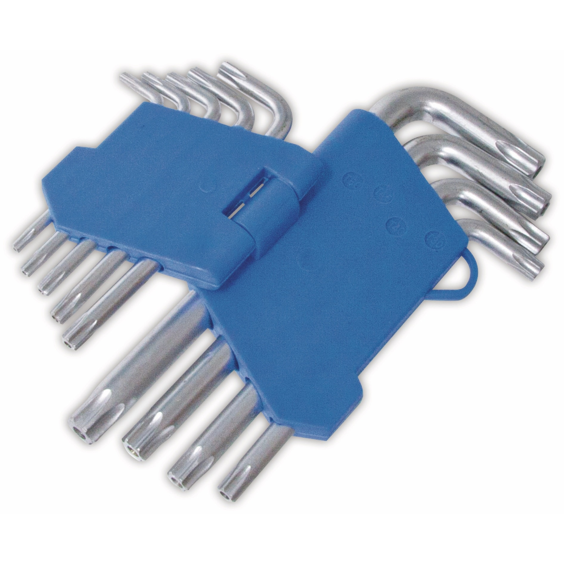 Chiavi Torx in un supporto blu.