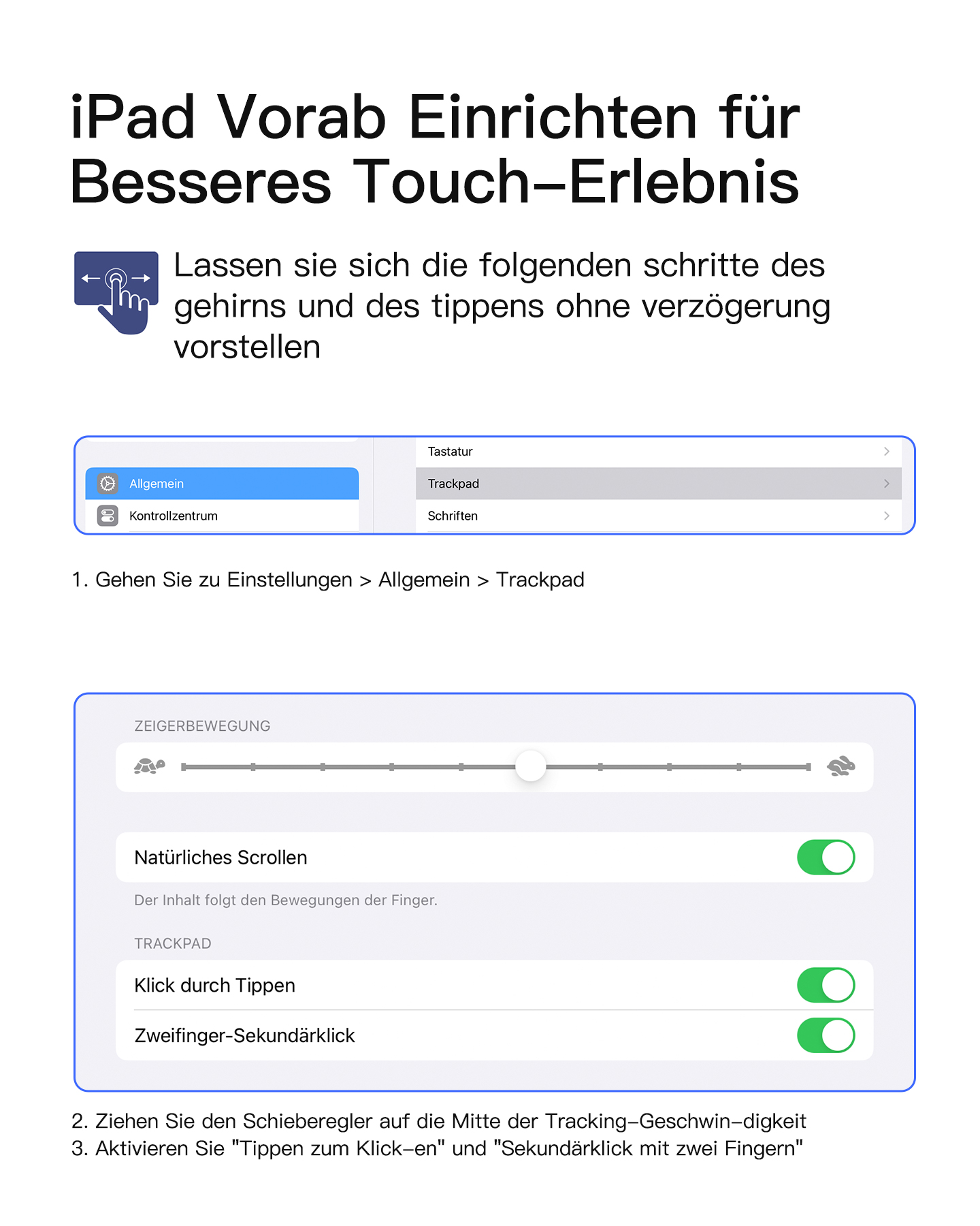 iPad-Einstellungen für besseres Touch-Erlebnis: Allgemein <gt/> Trackpad-Optionen.
