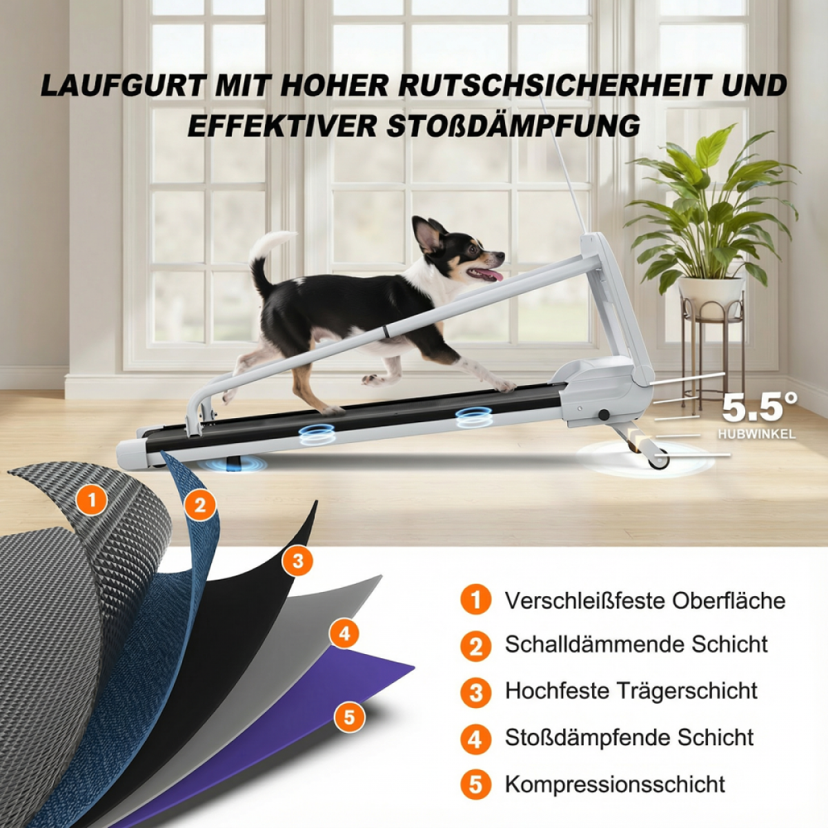 Ein Hund läuft auf einem Laufband mit 5,5 Grad Neigung. Mehrschichtiger Aufbau des Laufbands.
