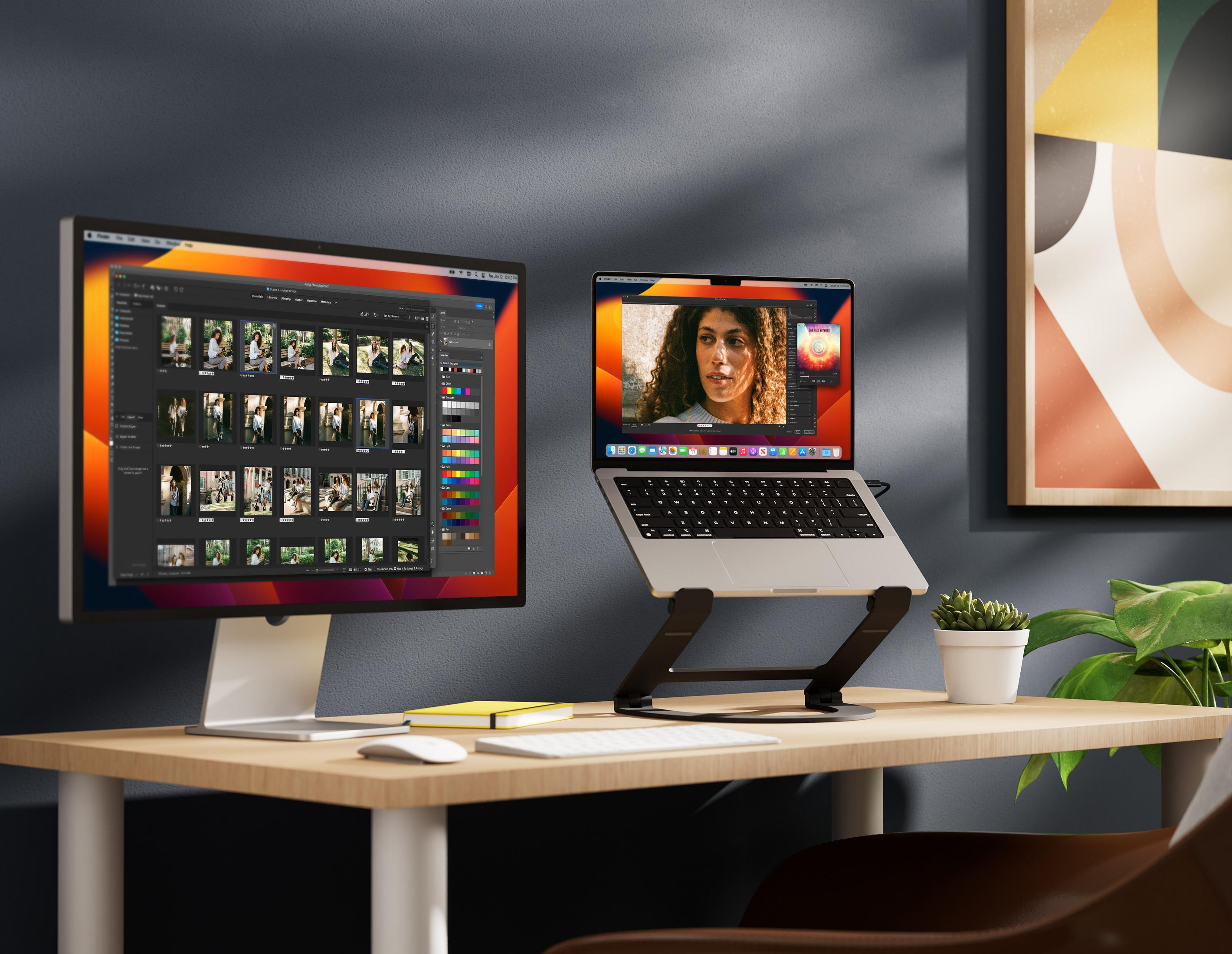 A desk with two monitors, keyboard, mouse, and plants.