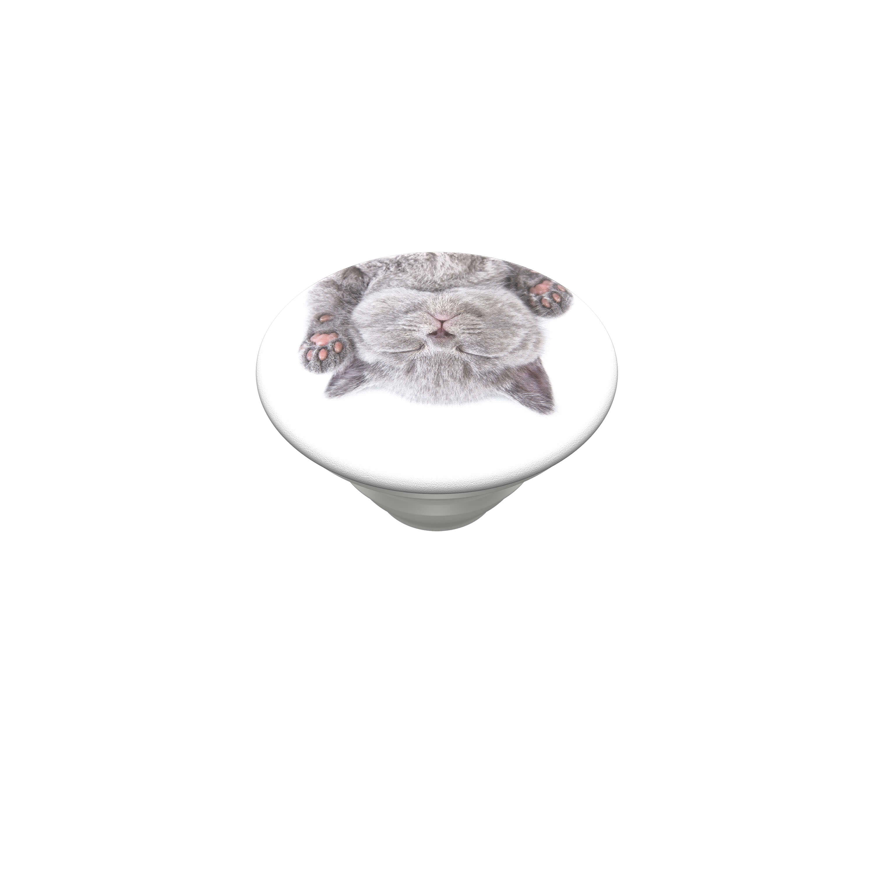 Ein niedlicher grauer Kätzchen-Pop-Socket schläft auf dem Rücken.