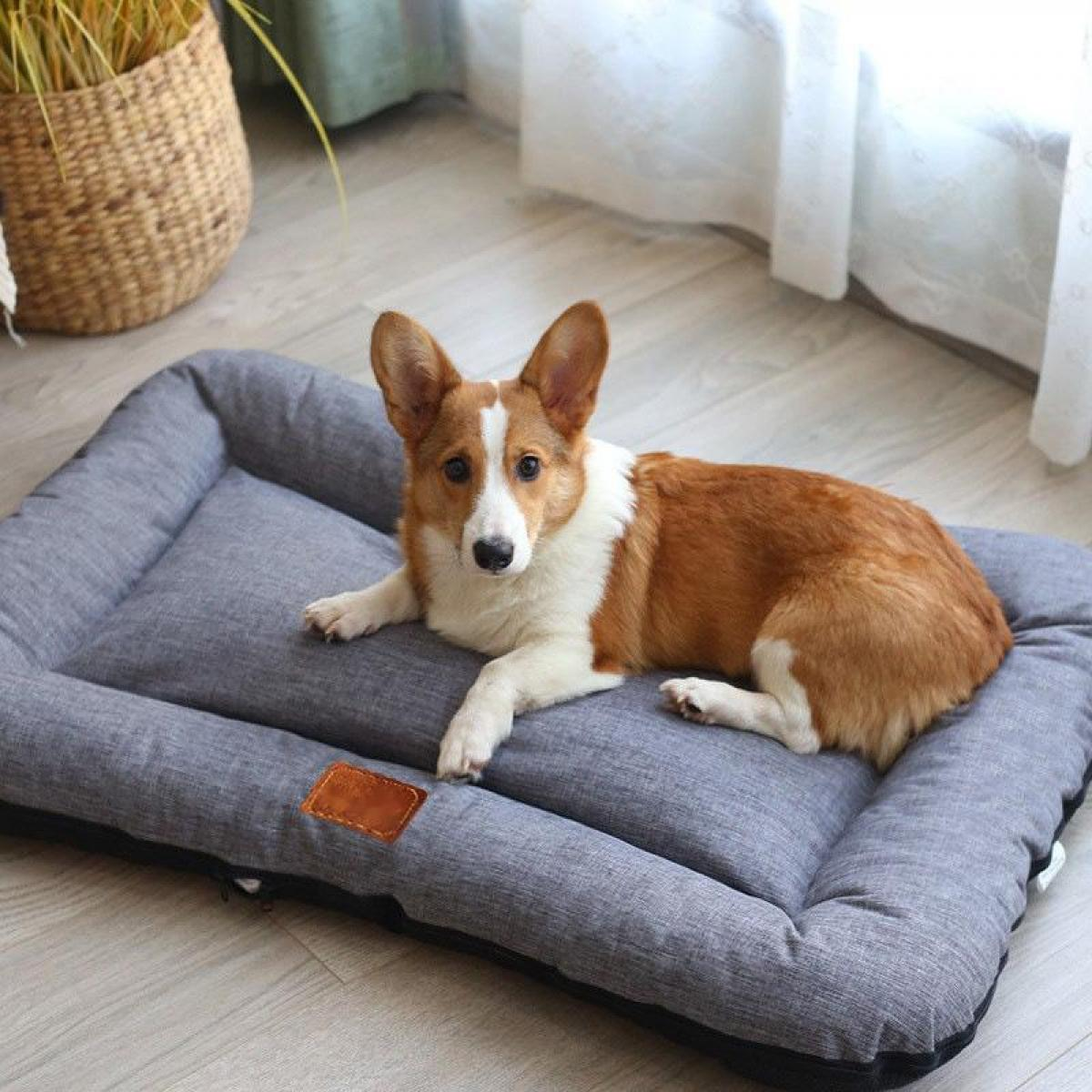 Ein Corgi liegt auf einem grauen Hundebett auf einem Holzboden.