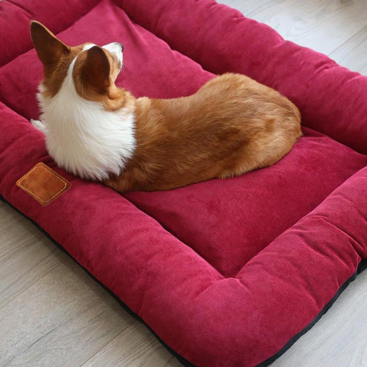Ein Corgi liegt auf einem roten Hundebett.