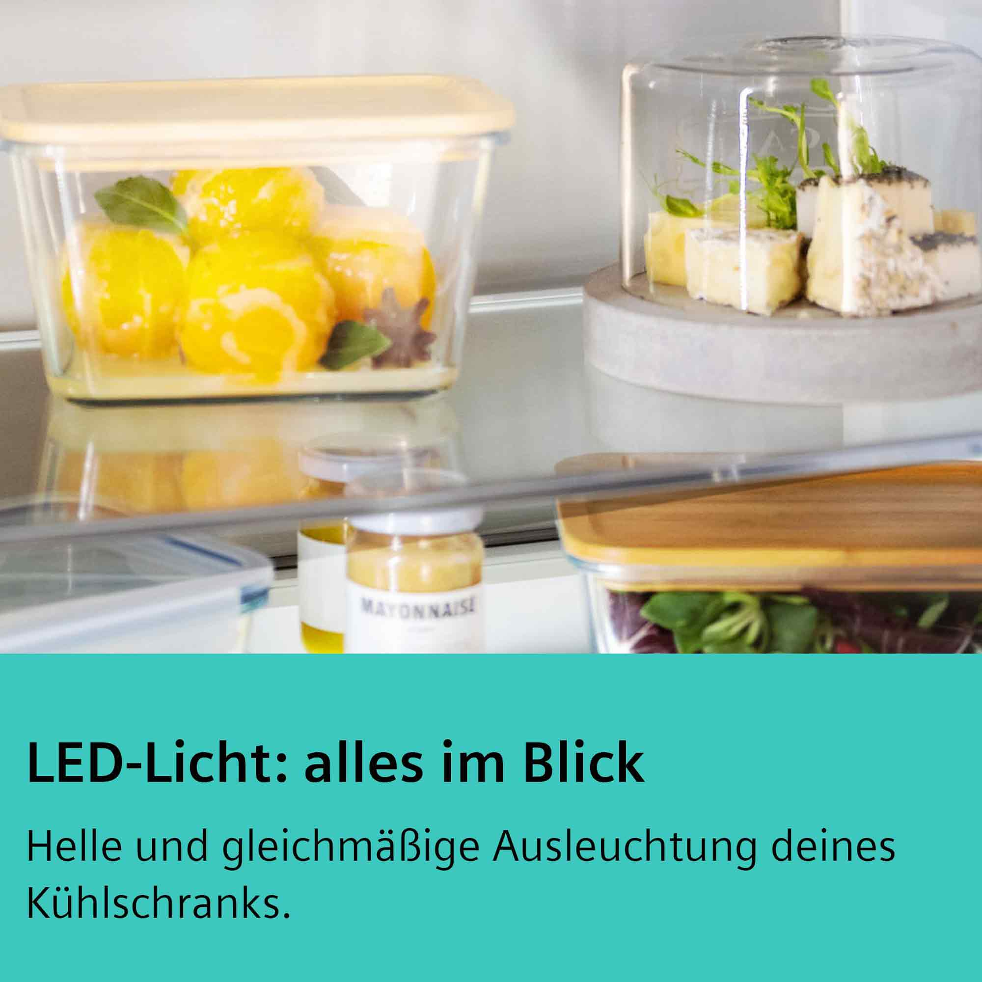 Gefüllte Behälter mit Obst, Käse und Salat in einem Kühlschrank.