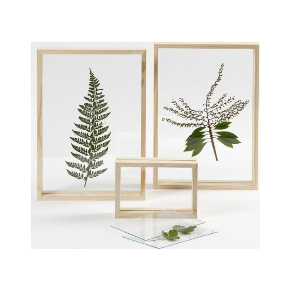 Deux cadres en bois avec des plantes pressées sur fond blanc.