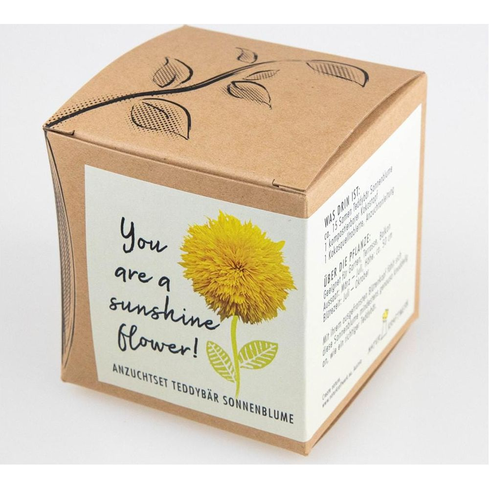 Ein Karton mit Sonnenblumen-Samen und Aufzuchtmaterial. Text auf Deutsch.