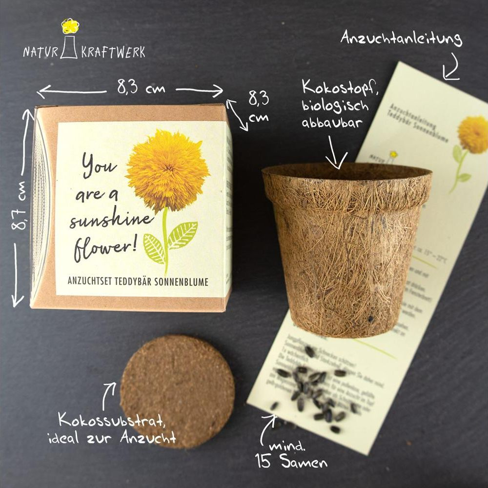 Sonnenblumen-Anzuchtset mit Topf, Kokossubstrat, Samen und Anleitung.