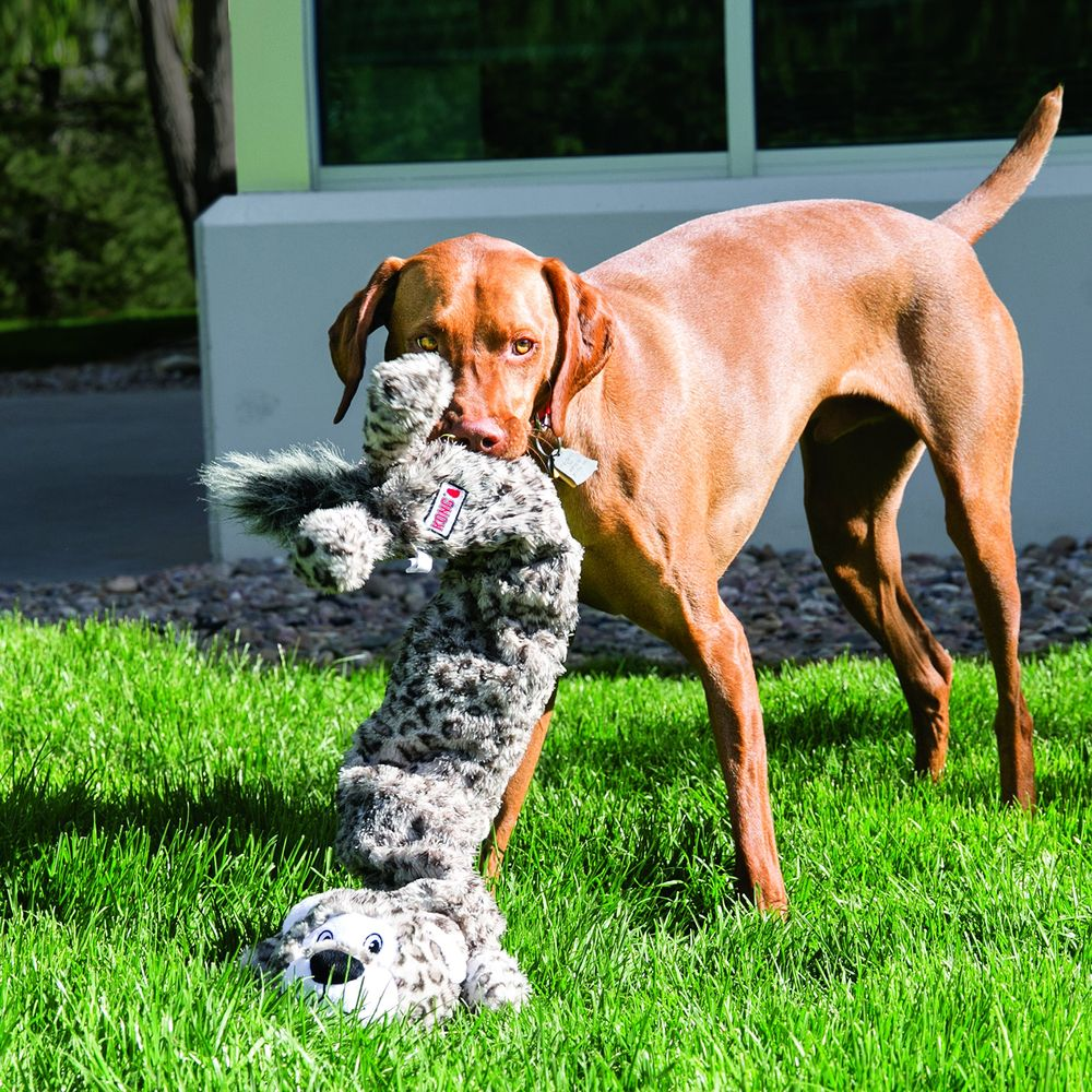 Ein Hund hält ein pelziges Spielzeug im Gras.