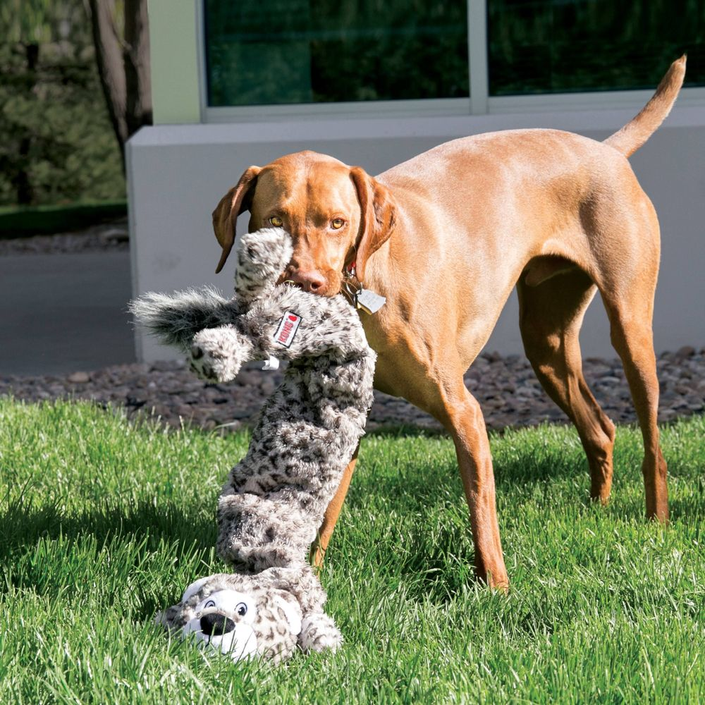 Ein brauner Hund hält ein Stofftier mit Leopardenmuster im Maul auf grünem Gras.