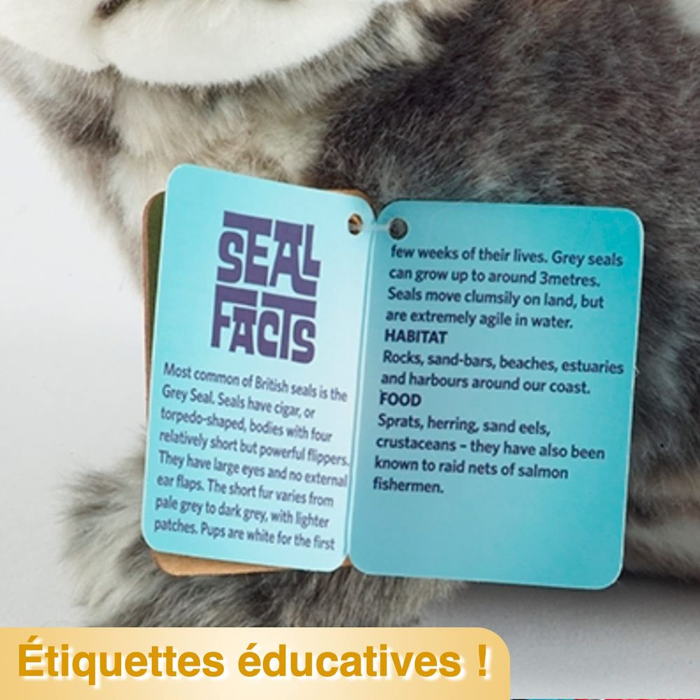 Una foca di peluche con due etichette educative che forniscono fatti sulle foche.