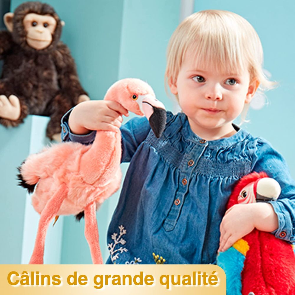 Una bambina tiene un fenicottero rosa e un pappagallo rosso, con una scimmia sullo sfondo.