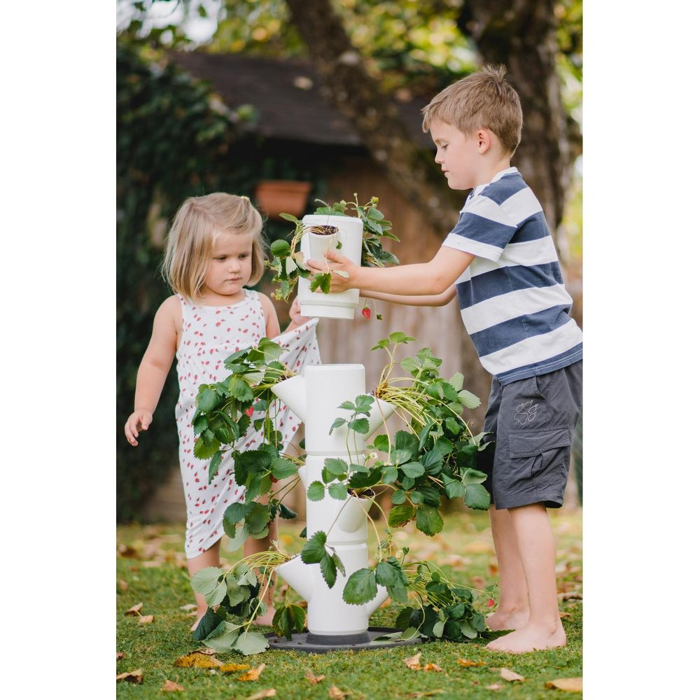 Garçon et fille s'occupant de plants de fraises dans un jardin.