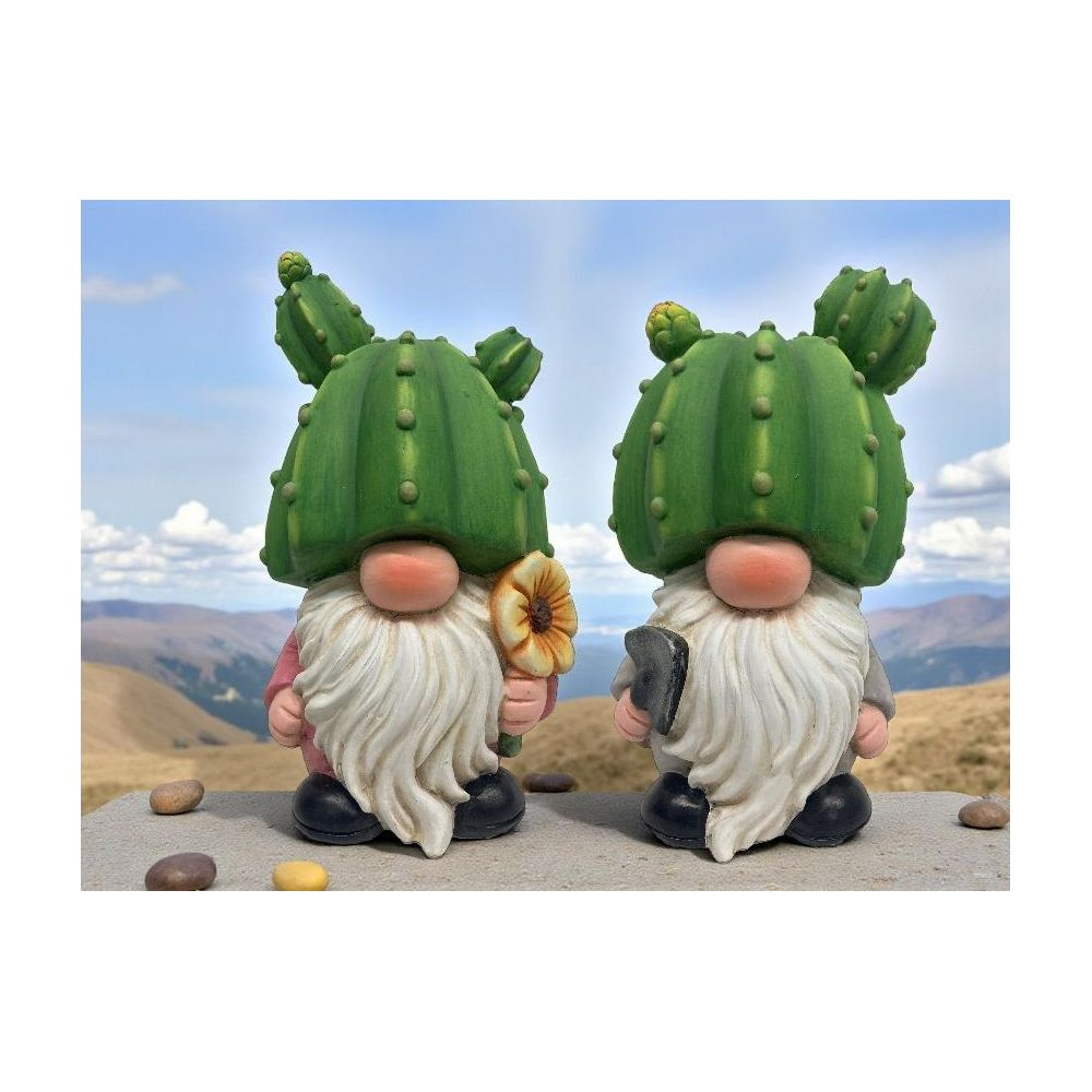 Due gnomi da giardino con cappelli di cactus all'aperto.