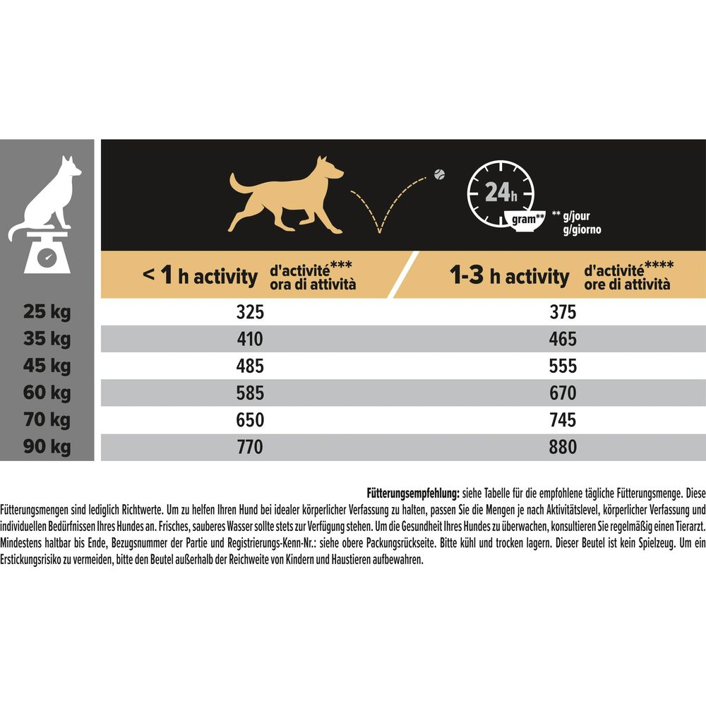 Futtertabelle für Hunde: Gewicht, Aktivität und tägliche Futtermenge in Gramm.