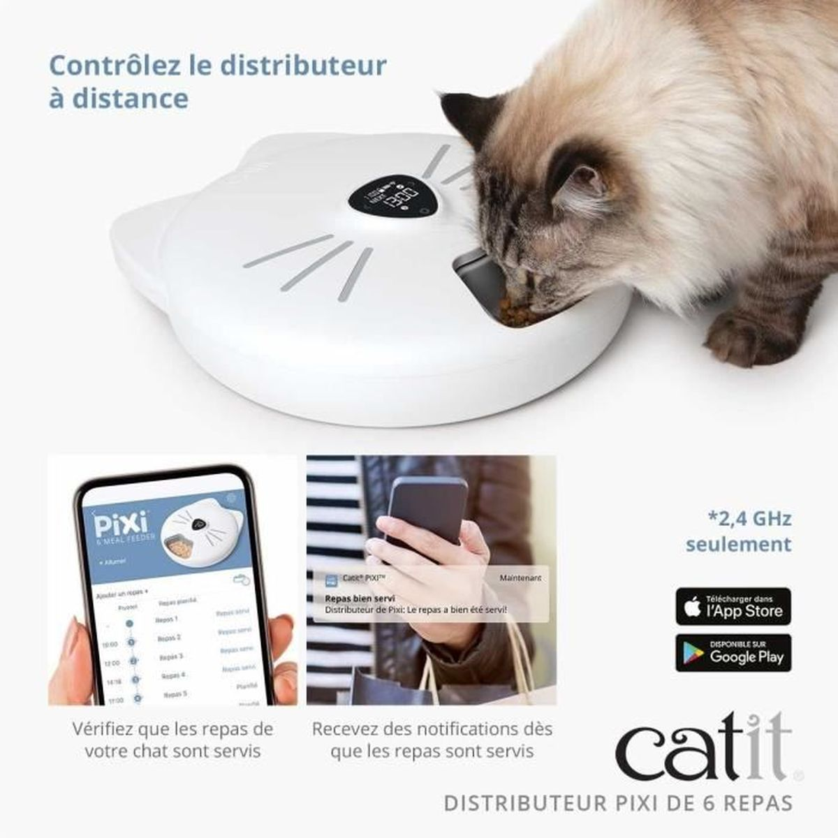Un gatto mangia da un distributore bianco controllato da un'app.