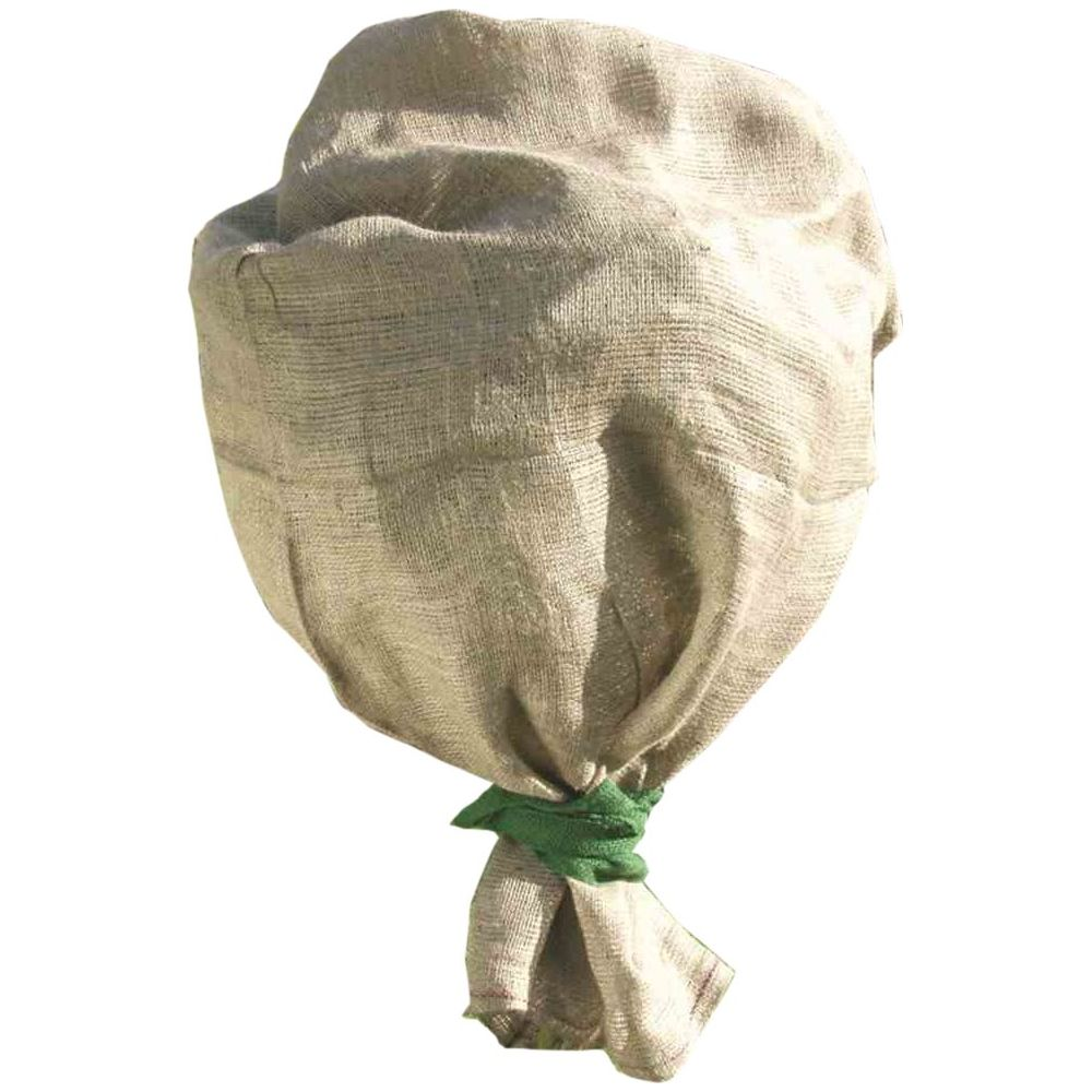 Ein Strauch oder Baum, eingewickelt in Jute und mit grüner Schnur gebunden.