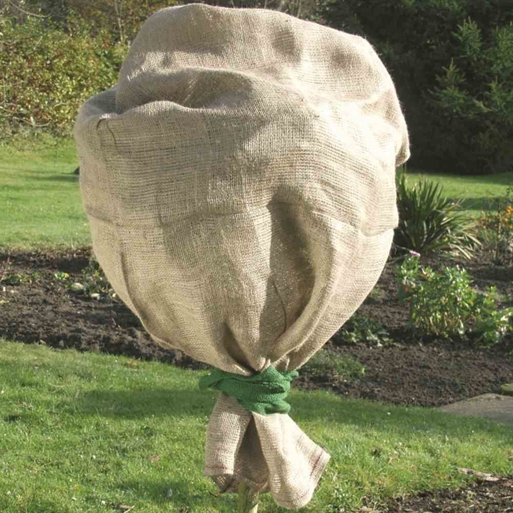 Ein Sack aus Jute bedeckt eine Pflanze im Garten. Der Sack ist mit grüner Schnur gebunden.