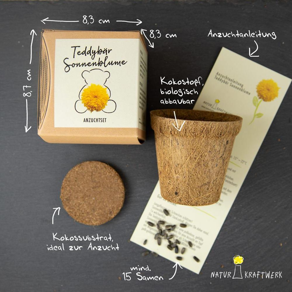 Ein Set zur Anzucht von Teddybär-Sonnenblumen mit Kokostopf, Samen und Anleitung.