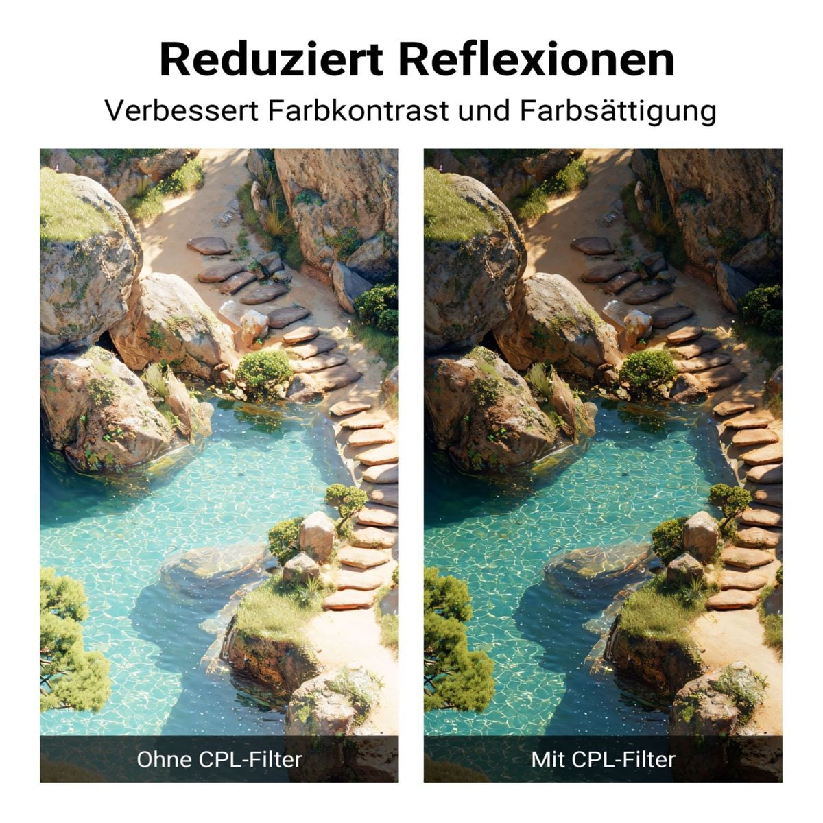 Zwei Bilder eines Gartens mit Teich: links ohne CPL-Filter, rechts mit.