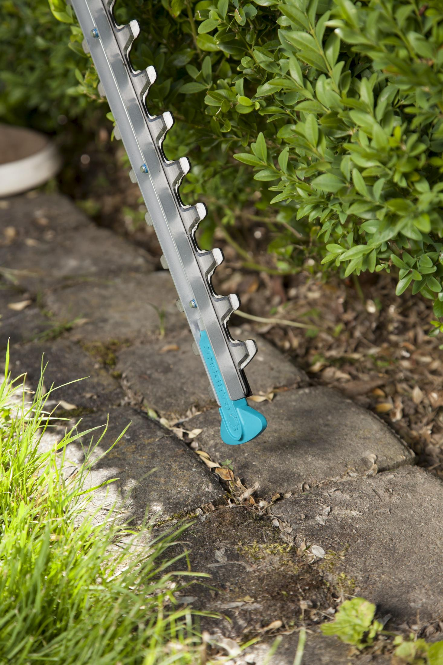 Una lama per tagliasiepi con manico blu su pietre pavimentate e vegetazione.