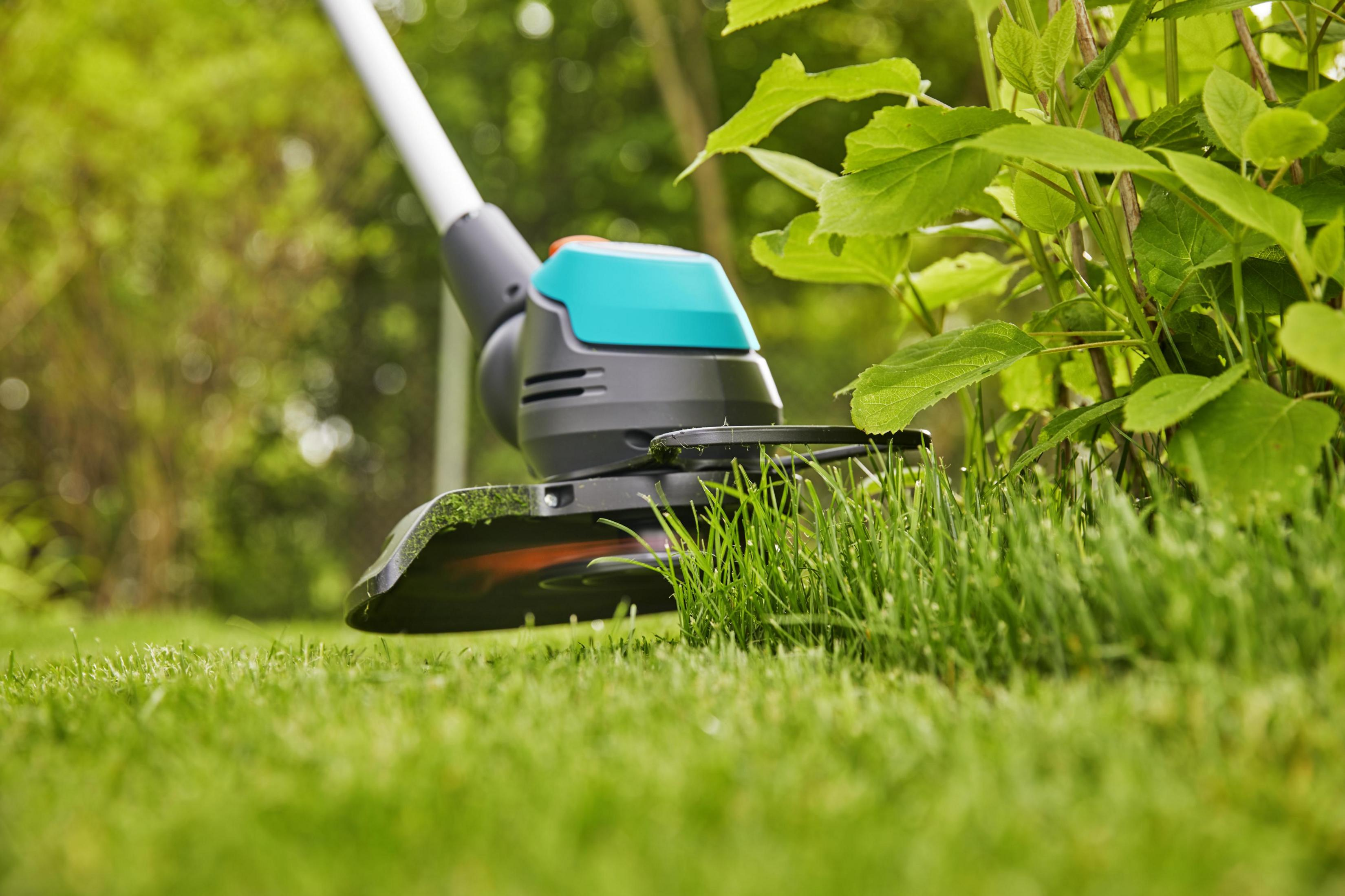 Ein Rasentrimmer mit türkisfarbenem Oberteil schneidet Gras in einem Garten.