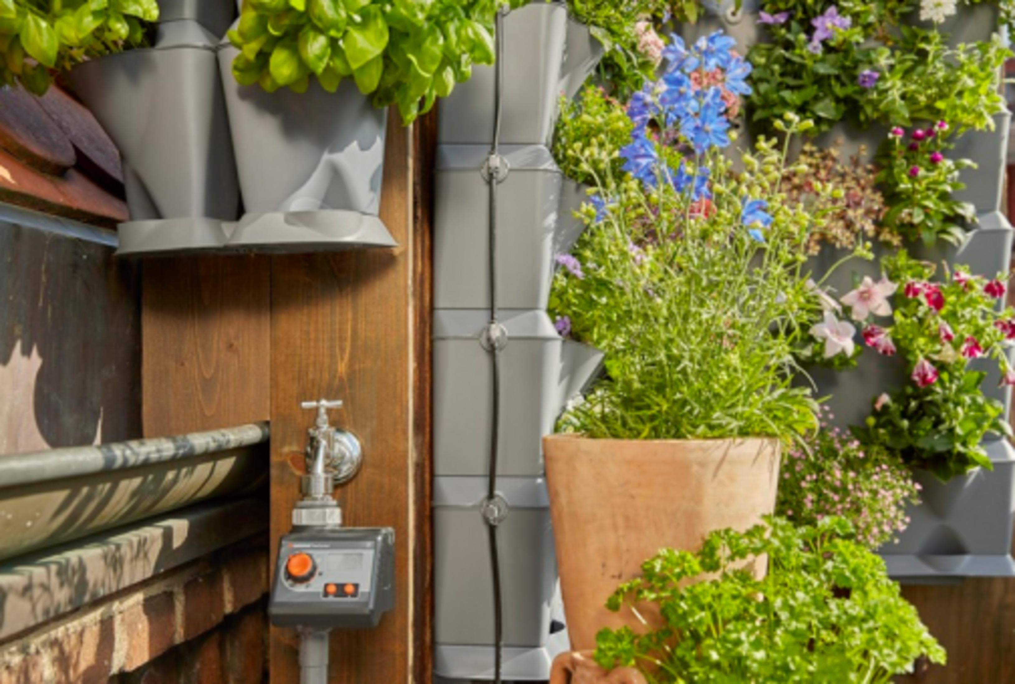 Giardino verticale con erbe, fiori e un timer per rubinetto.