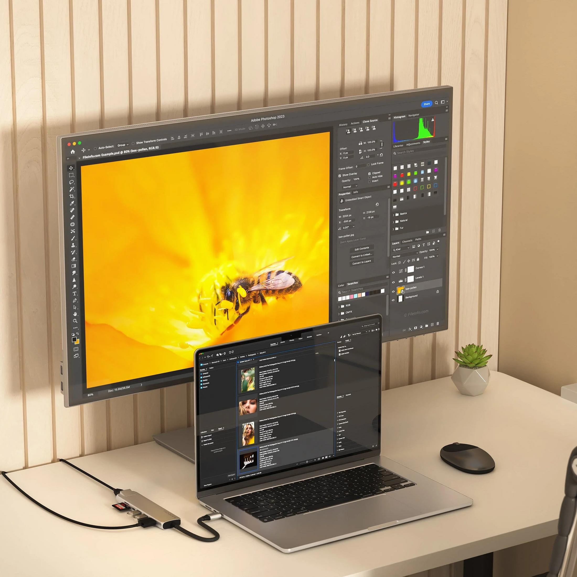 Ein Schreibtisch-Setup mit einem großen Monitor, der eine Biene auf einer Blume zeigt, und einem Laptop.