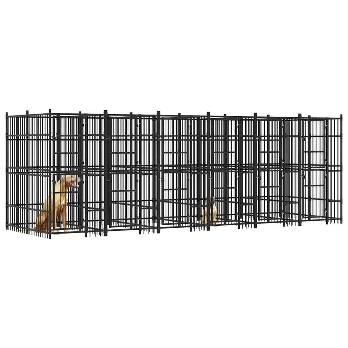 Ein langer, schwarzer Zwinger mit zwei Hunden.