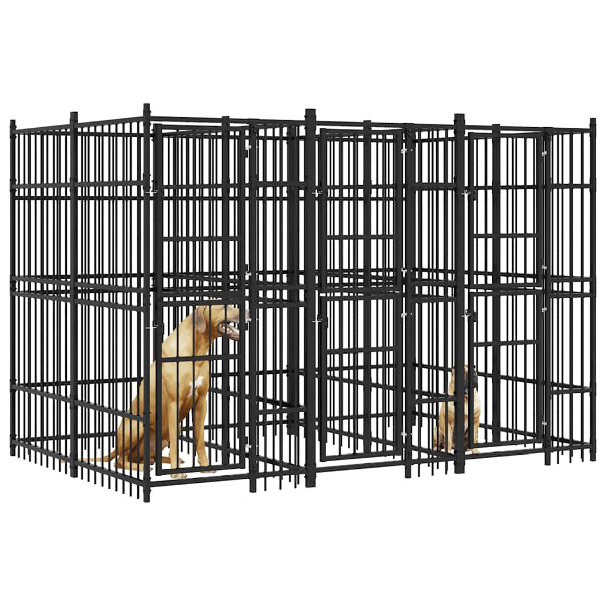Zwei Hunde in einem schwarzen Metallkäfig. Einer sitzt, der andere steht.