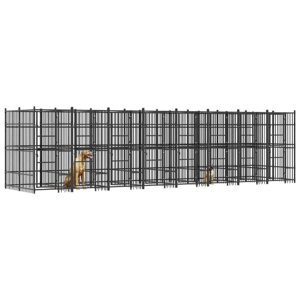 Zwei Hunde in einer schwarzen Metallboxanlage mit vertikalen Stäben.