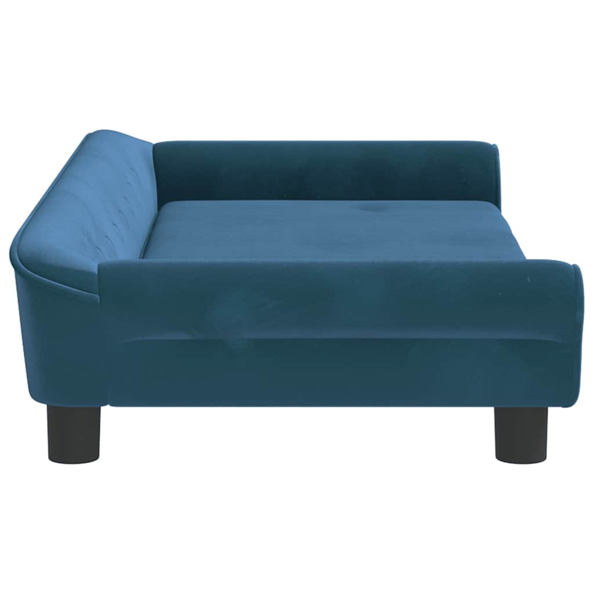 Ein blaues Sofa mit kurzen schwarzen Beinen, aus Samt, mit gepolsterter Rückenlehne.
