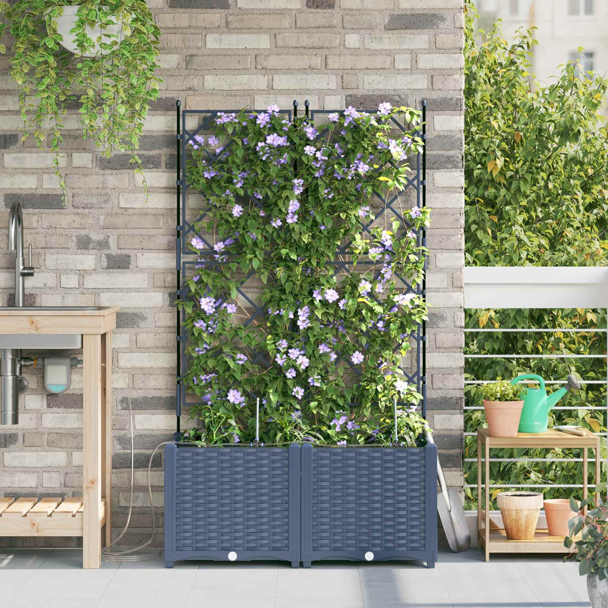 Un giardino rampicante con fiori blu su un balcone contro un muro di mattoni.