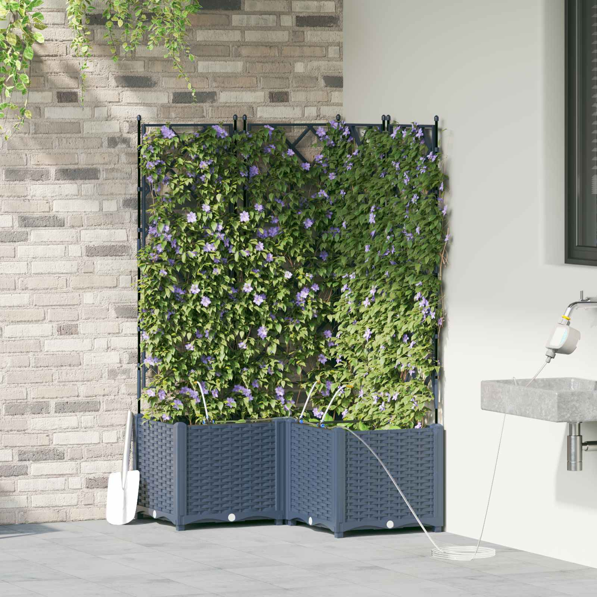 Un giardino con una pergola coperta da piante rampicanti e fiori viola.