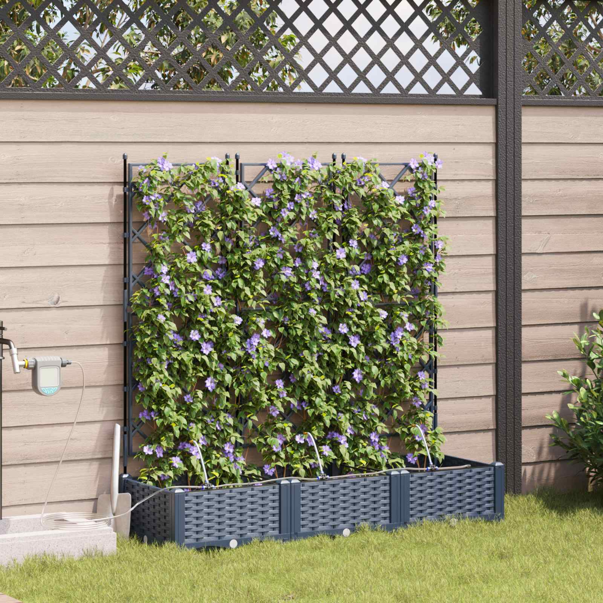 Un giardino verticale con piante rampicanti viola fiorite su un traliccio contro un muro di legno.
