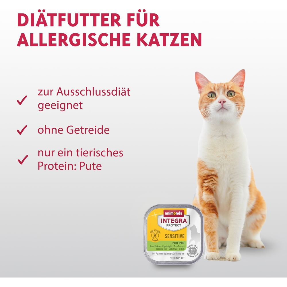 Kot obok puszki karmy: Karma dietetyczna dla kotów alergicznych.