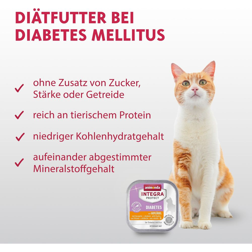 Ein Kätzchen sitzt neben einer Dose Diätfutter für Diabetes bei Katzen.