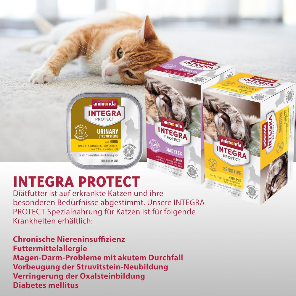 Eine Katze liegt neben drei Packungen Animonda Integra Protect Futter.