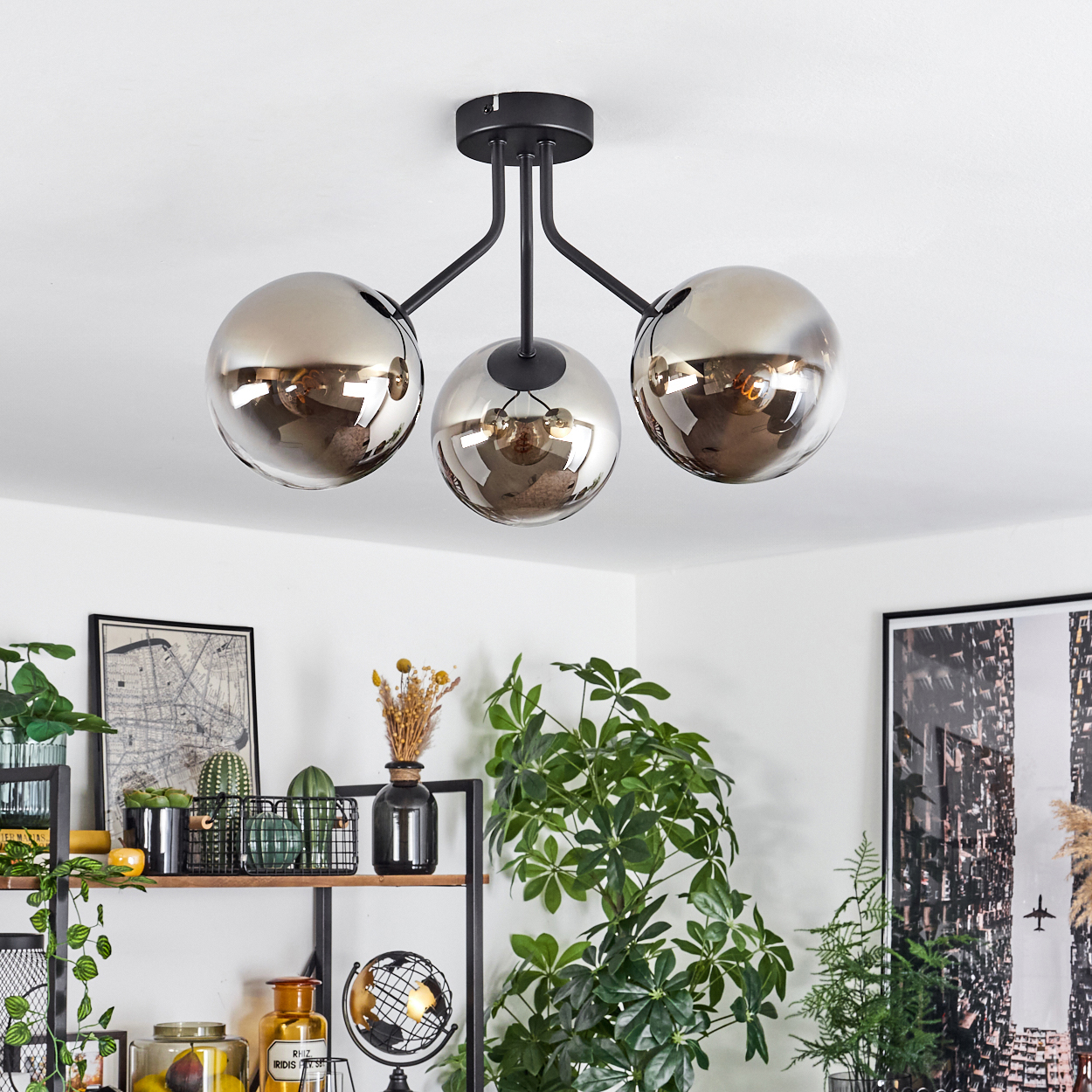 Eine schwarze Deckenleuchte mit drei Rauchglas-Globus hängt über einem Regal mit Pflanzen und Deko.