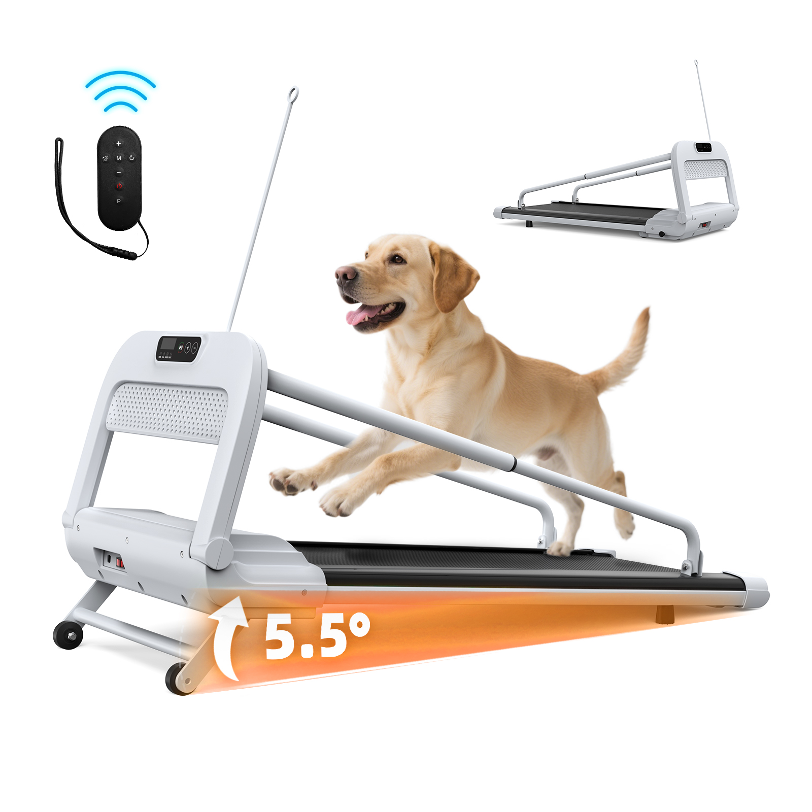 Ein Hund läuft auf einem weißen Laufband, mit Fernbedienung und Steigung.