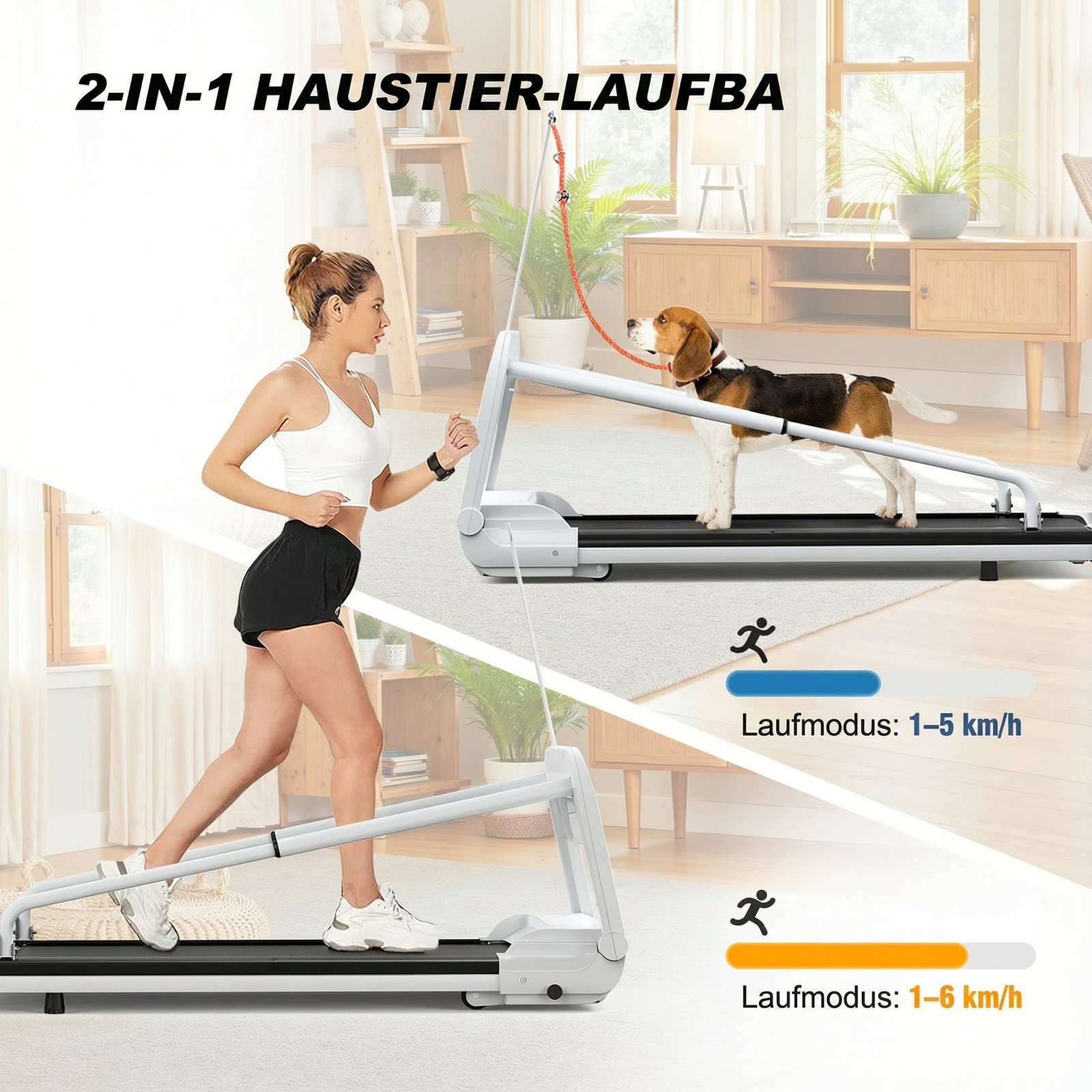 Frau und Hund auf Laufband, verschiedene Geschwindigkeiten angezeigt.