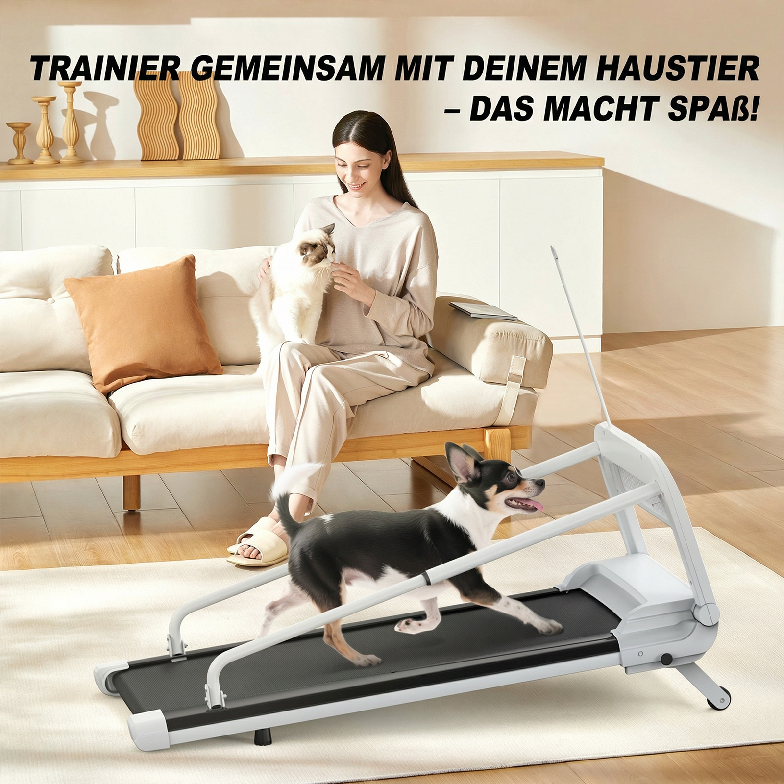 Ein Hund läuft auf einem Laufband, während eine Frau mit einer Katze auf dem Sofa sitzt.