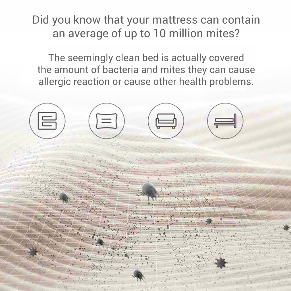 Acari su un materasso con icone per letto, cuscino e divano.