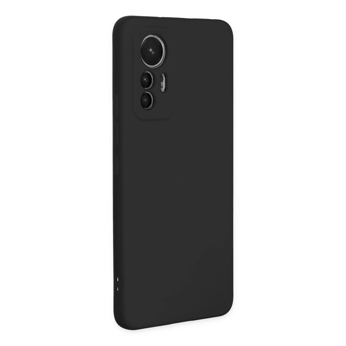 Arkada kamera sistemli siyah telefon kılıfı, beyaz zeminde izole.