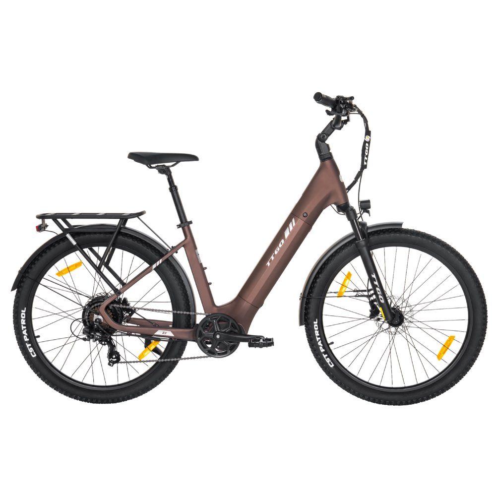 Ein braunes E-Bike mit Gepäckträger, Schutzblechen und Reflektoren.