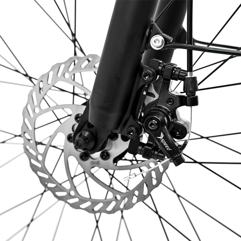 Fahrrad-Scheibenbremse mit schwarzem Bremssattel und silbernem Rotor.