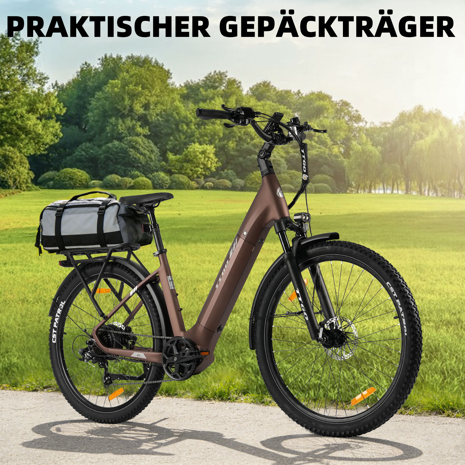 Ein braunes E-Bike mit Gepäcktasche steht auf einem Weg im Grünen.